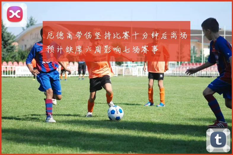 厄德高带伤坚持比赛十分钟后离场预计缺席六周影响七场赛事