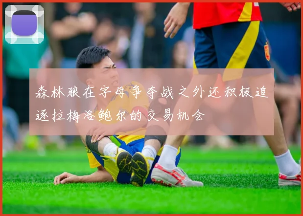 森林狼在字母争夺战之外还积极追逐拉梅洛鲍尔的交易机会